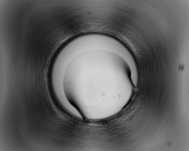 X0000103320542200810171404