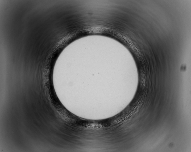 X0000103320543200810171404