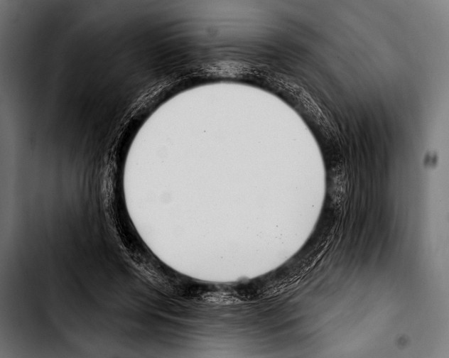 X0000103320544200810171404