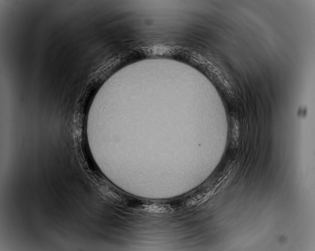 X0000103320545200810171404