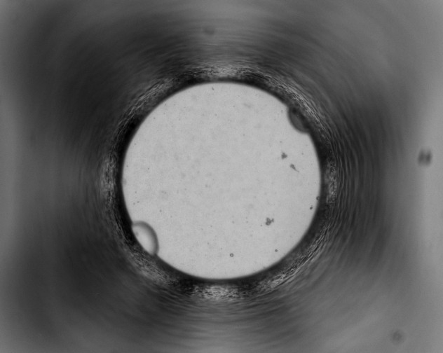 X0000103320546200810171404