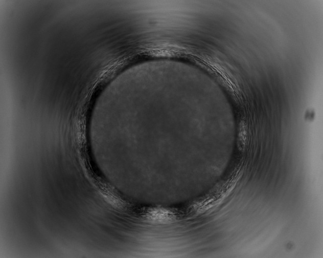 X0000103320547200810171404