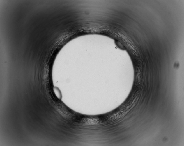 X0000103320548200810171404
