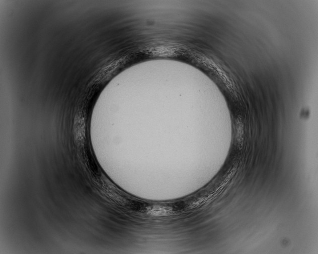 X0000103320549200810171404