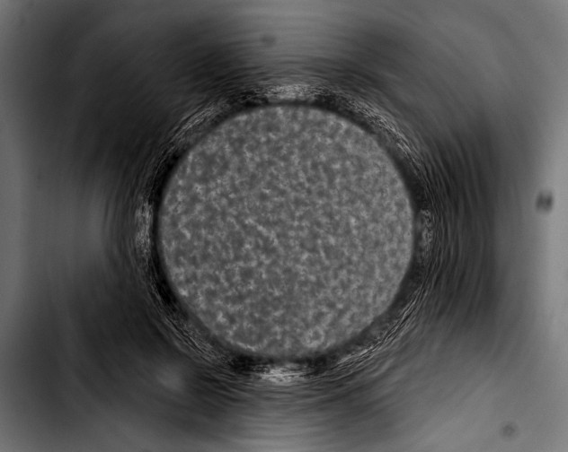 X0000103320550200810171404
