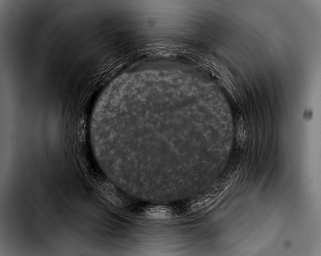 X0000103320551200810171404