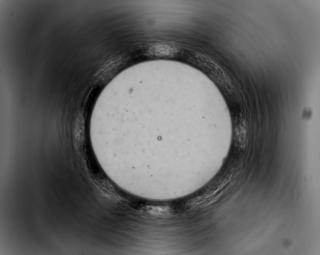 X0000103320552200810171404