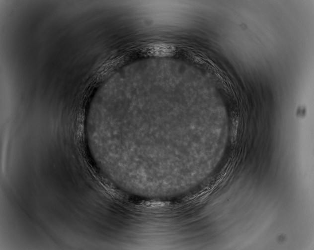 X0000103320553200810171404