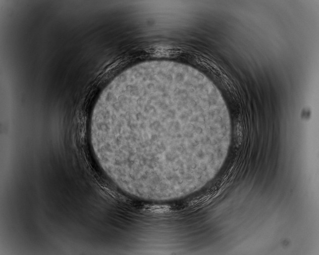 X0000103320554200810171404