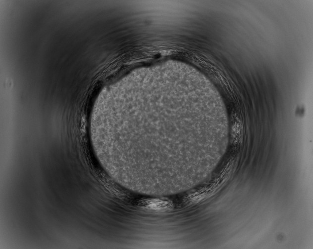 X0000103320555200810171404