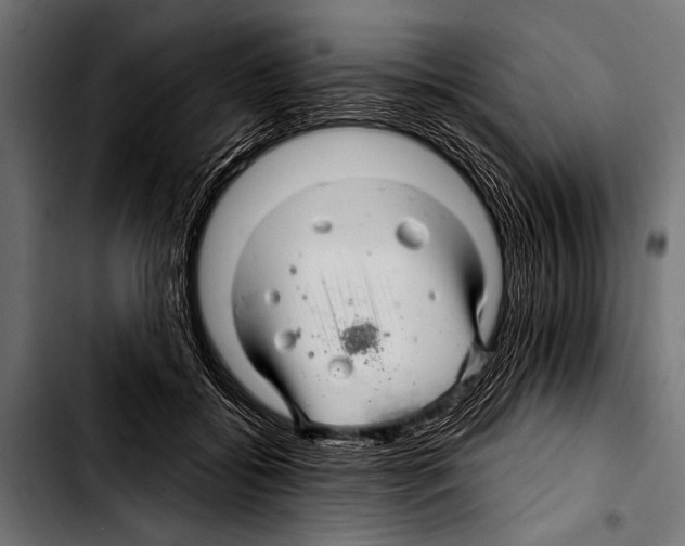 X0000103320556200810171404