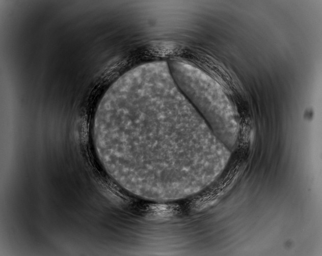 X0000103320558200810171404