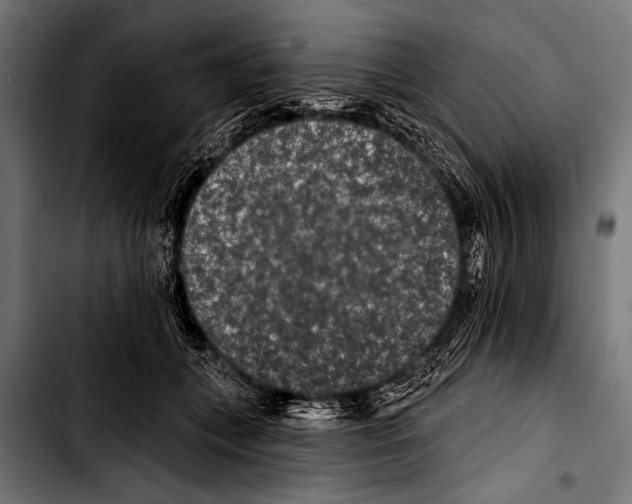 X0000103320559200810171404