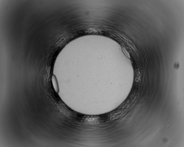 X0000103320560200810171404