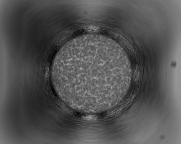 X0000103320561200810171404