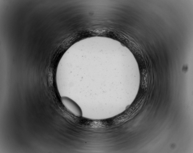 X0000103320562200810171404