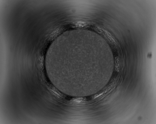 X0000103320563200810171404