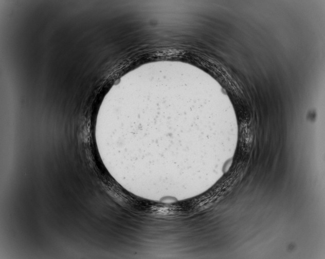 X0000103320564200810171404