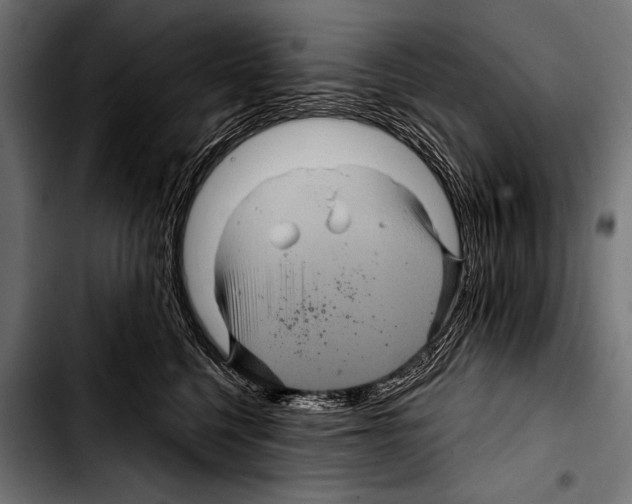 X0000103320568200810171404
