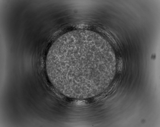 X0000103320569200810171404