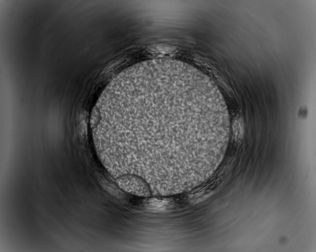 X0000103320570200810171404