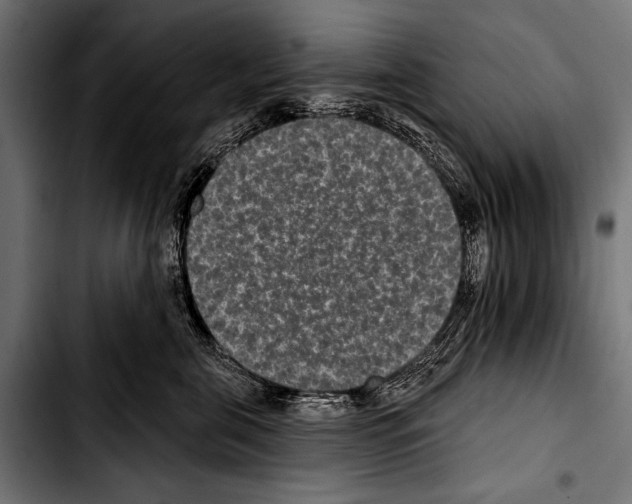 X0000103320571200810171404