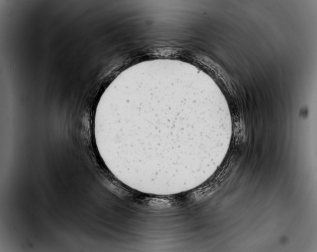 X0000103320572200810171404
