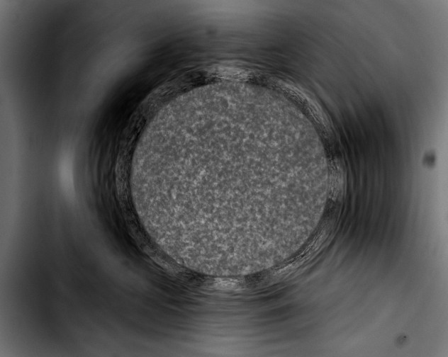 X0000103320573200810171404