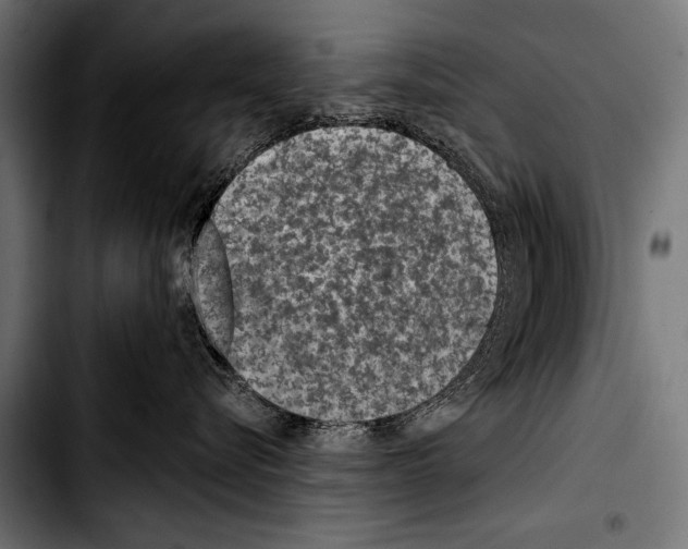 X0000103320576200810171404