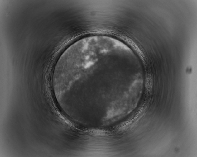 X0000103320577200810171403