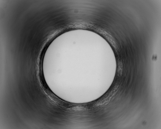 X0000103320578200810171403