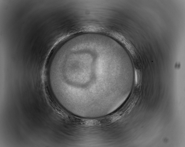 X0000103320579200810171403