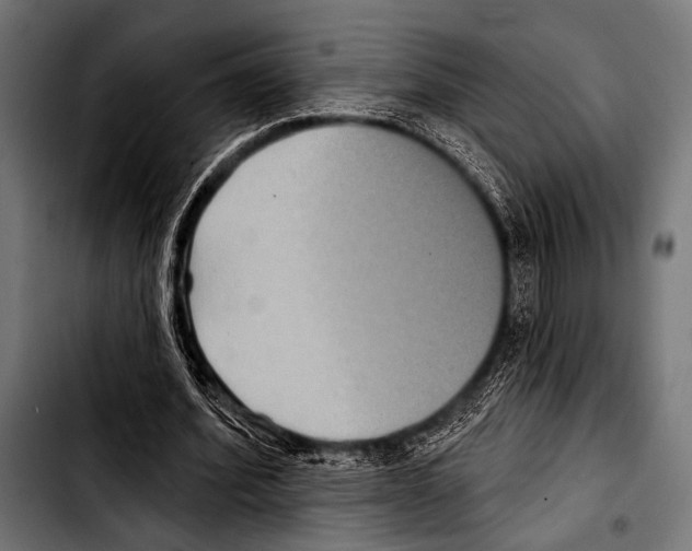 X0000103320580200810171403