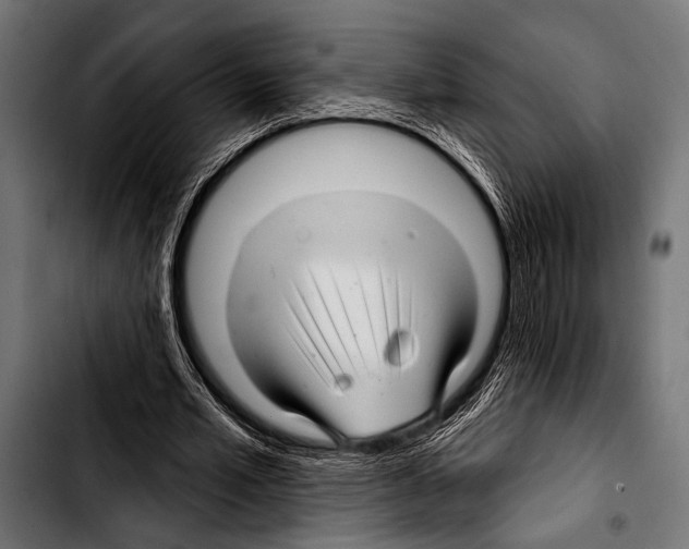 X0000103320581200810171403