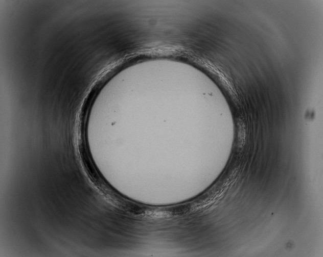 X0000103320582200810171403