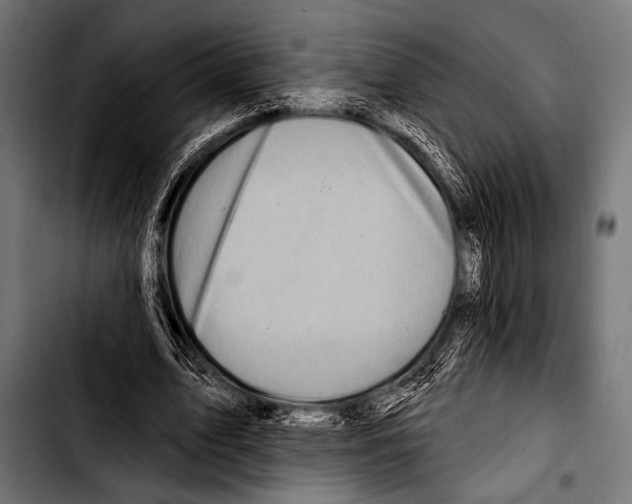 X0000103320583200810171403