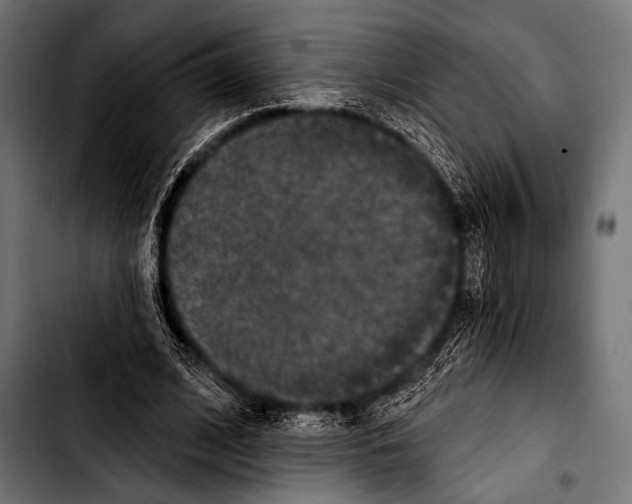 X0000103320584200810171403