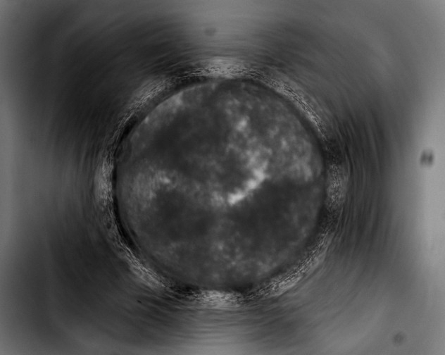 X0000103320585200810171403