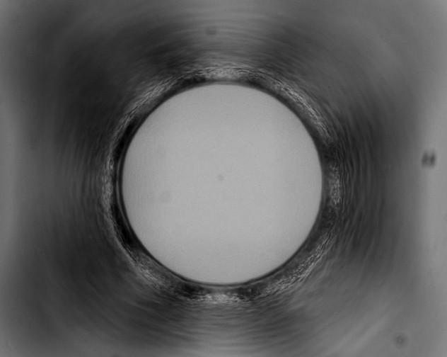 X0000103320586200810171403
