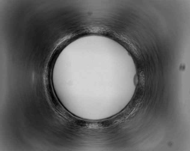 X0000103320587200810171403