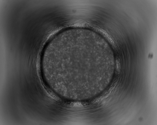 X0000103320588200810171403