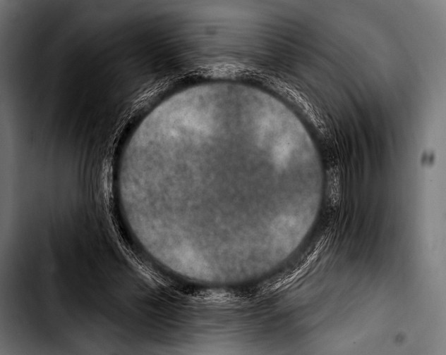 X0000103320589200810171403