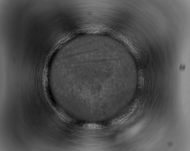 X0000103320590200810171403