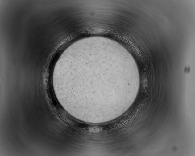 X0000103320591200810171403