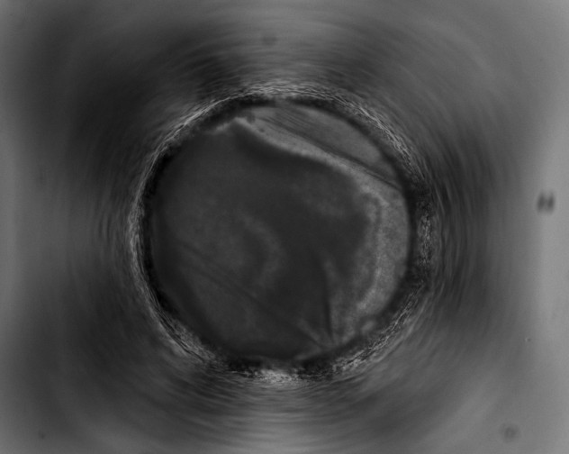 X0000103320592200810171403