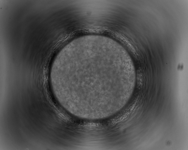 X0000103320593200810171403