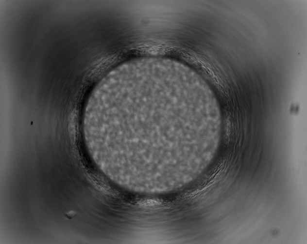 X0000103320594200810171403