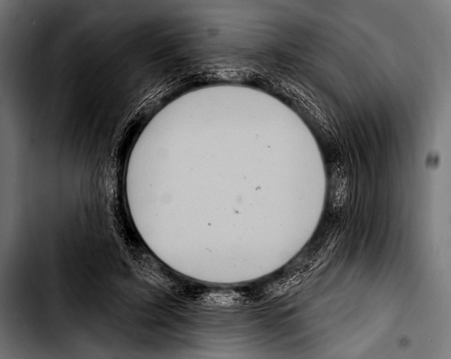 X0000103320595200810171403