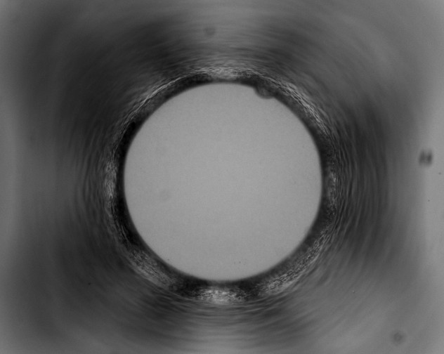 X0000103320596200810171403
