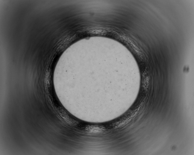 X0000103320597200810171403